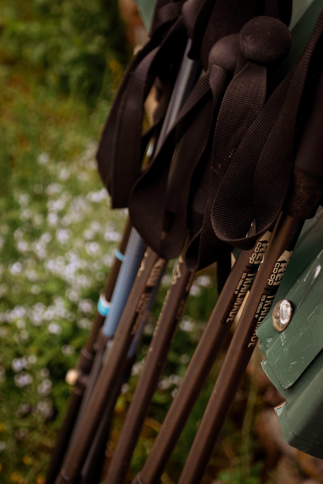 Trekking poles leaning against a pack among wildflowers