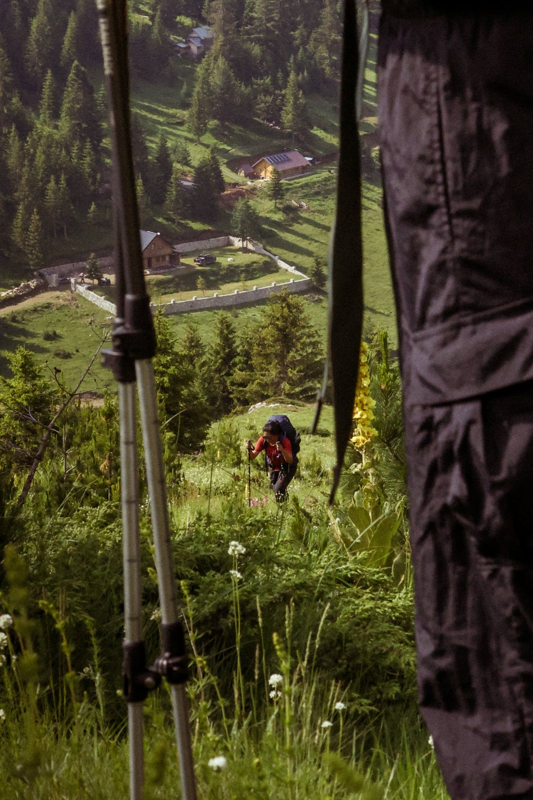 A hiker on a meadow trail seen between trekking poles