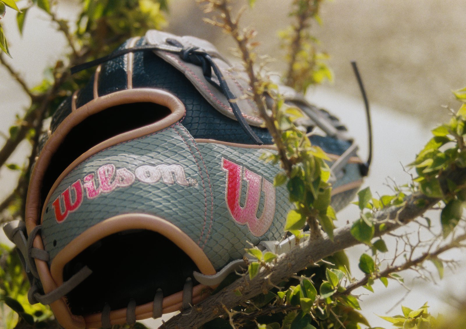 A Wilson glove nestled in a flowering shrub