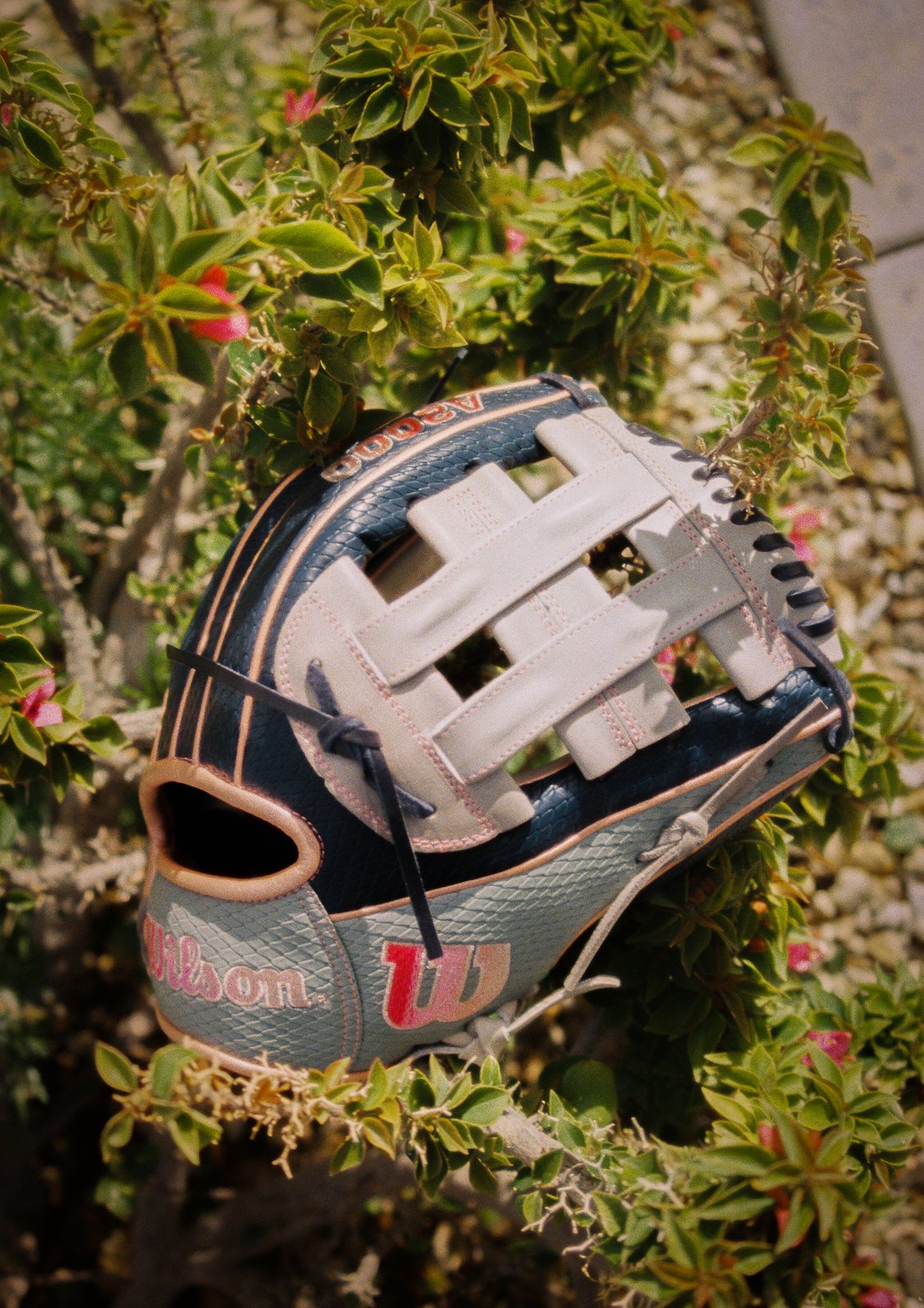 A baseball glove resting in a flowering shrub