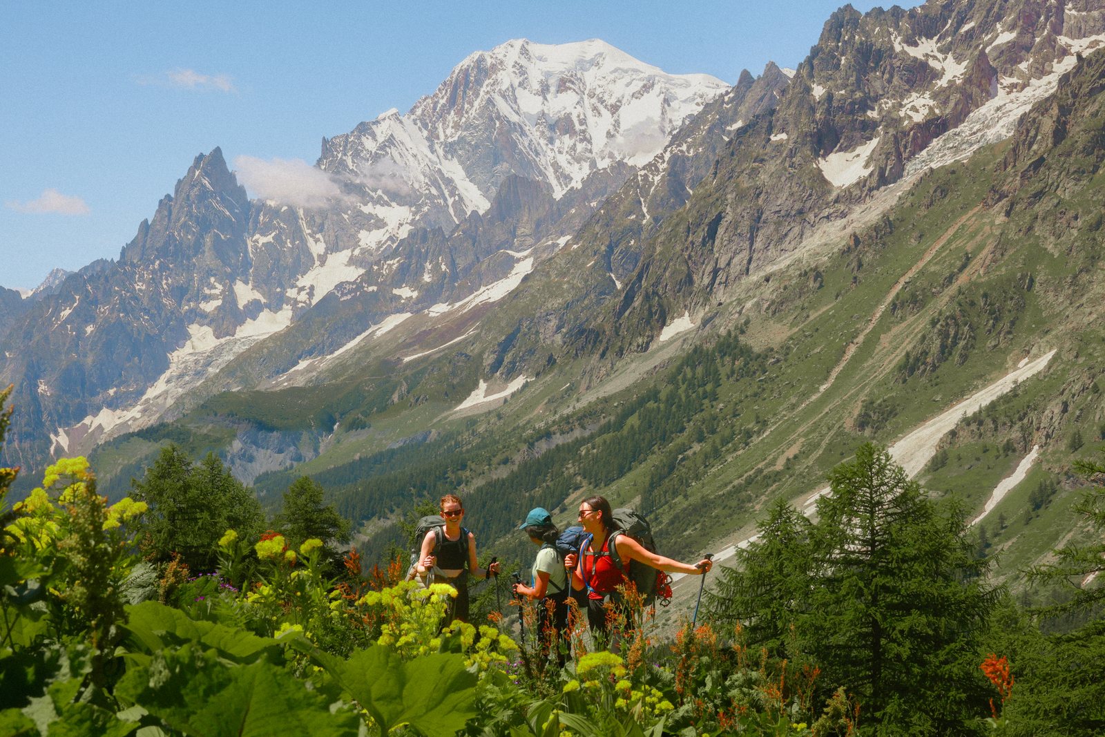Hikers climb through wildflowers below snowy peaks