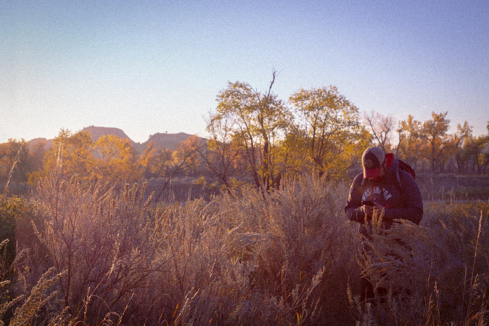 A hiker crouched in tall golden grass at sunset
