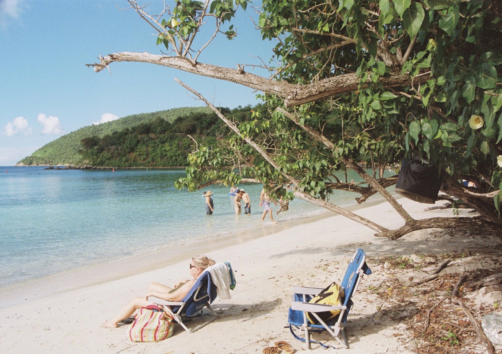 A beach with turquoise water and a leaning tree